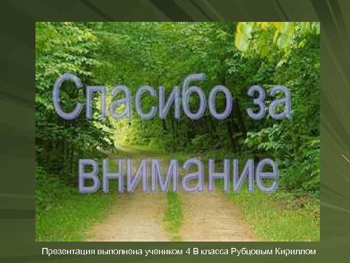 Презентация выполнена учеником 4 В класса Рубцовым Кириллом 