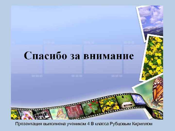 Презентация выполнена учеником 4 В класса Рубцовым Кириллом 