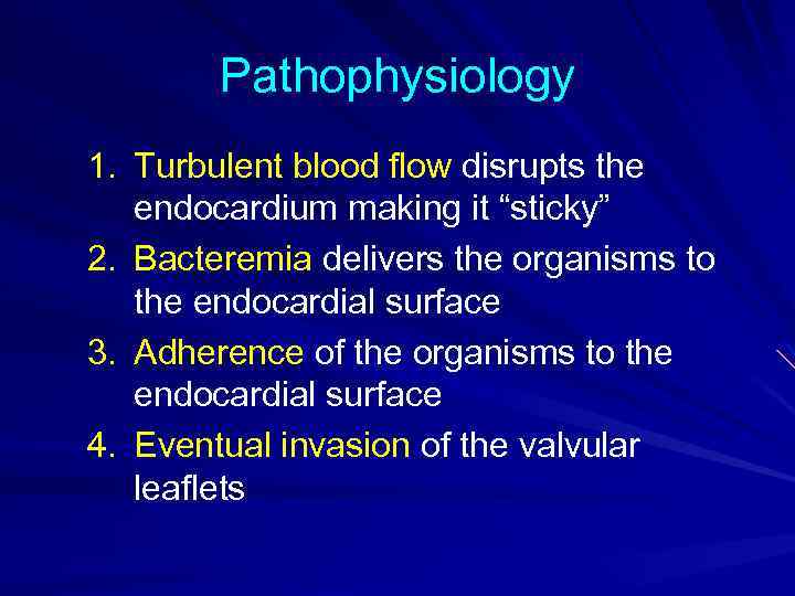 Pathophysiology 1. Turbulent blood flow disrupts the endocardium making it “sticky” 2. Bacteremia delivers