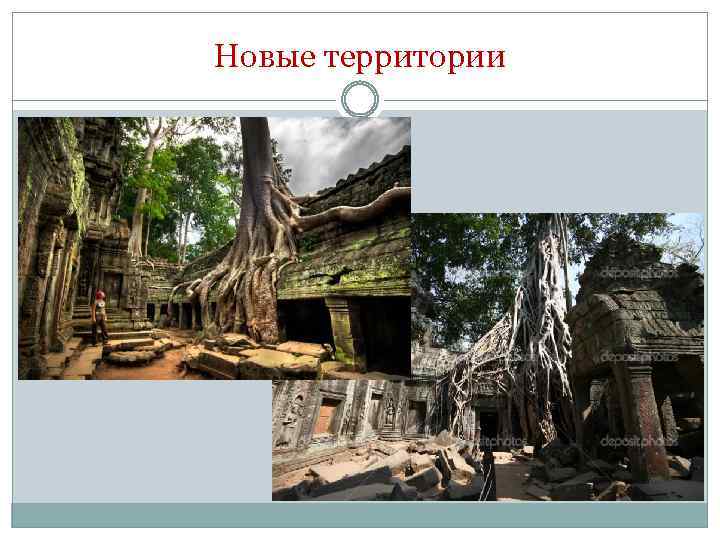 Новые территории 