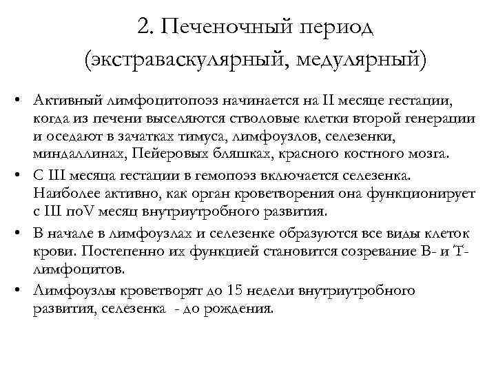 2. Печеночный период (экстраваскулярный, медулярный) • Активный лимфоцитопоэз начинается на II месяце гестации, когда