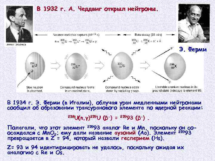 В 1932 г. А. Чеддвиг открыл нейтроны. Э. Ферми В 1934 г. Э. Ферми