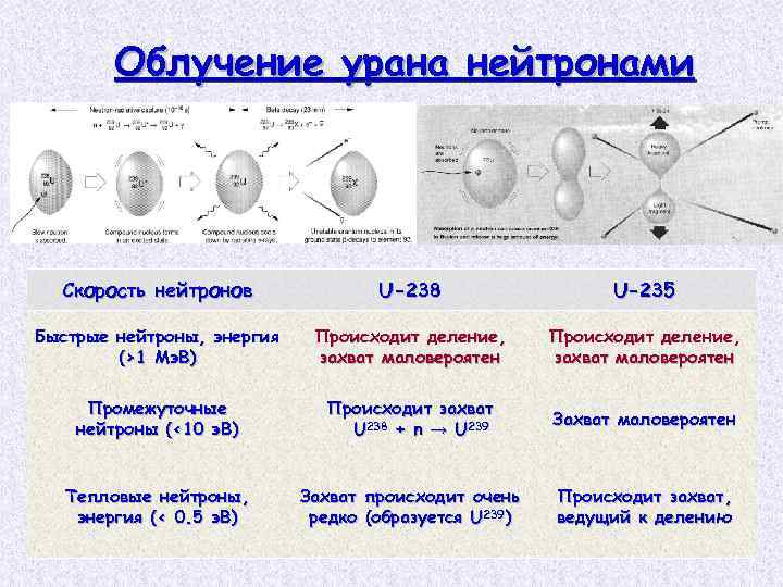 Изотопы урана сколько. Облучение урана нейтронами. Скорость нейтрона. Уран излучение радиации.