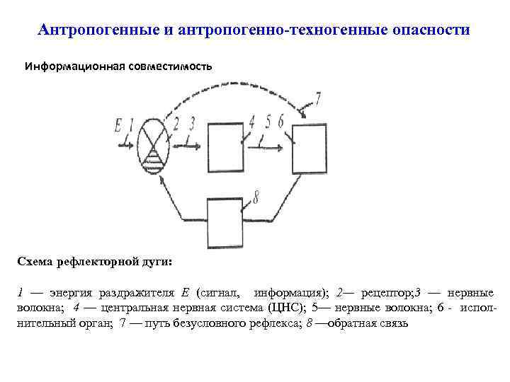 Антропогенные и антропогенно техногенные опасности Информационная совместимость Схема рефлекторной дуги: 1 — энергия раздражителя