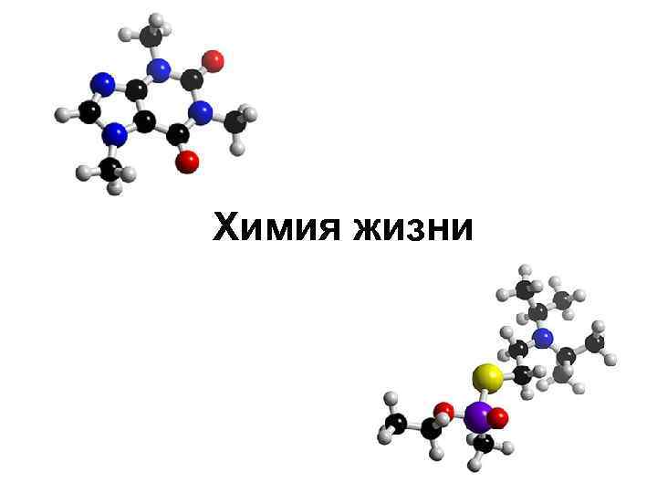 Химия в жизни человека. Химия и жизнь.