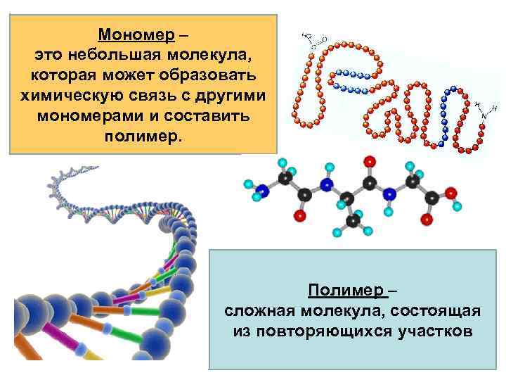 Полимеры образование