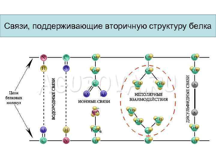 Поддерживающая структура