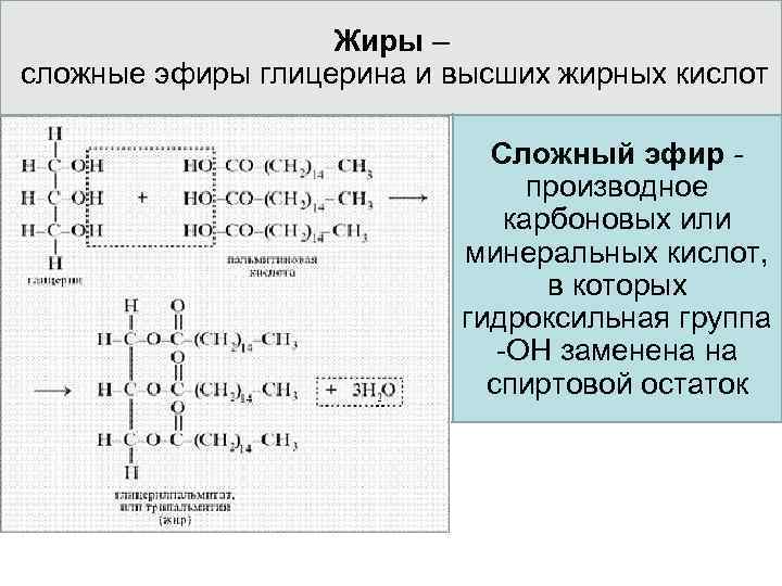 Сложные жиры