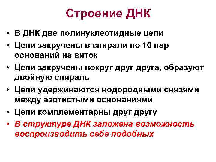 Строение ДНК • В ДНК две полинуклеотидные цепи • Цепи закручены в спирали по
