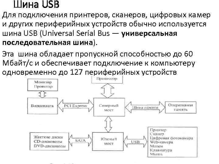 Шина USB Для подключения принтеров, сканеров, цифровых камер и других периферийных устройств обычно используется