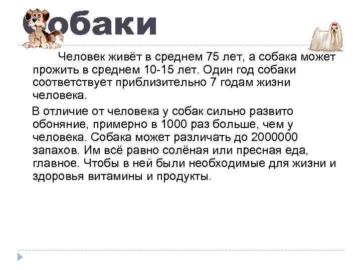 Собаки Человек живёт в среднем 75 лет, а собака может прожить в среднем 10