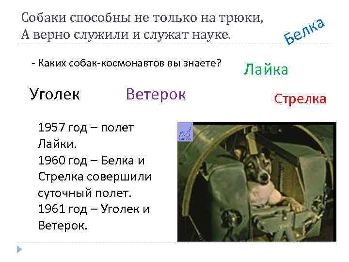 Собаки способны не только на трюки, А верно служили и служат науке. - Каких