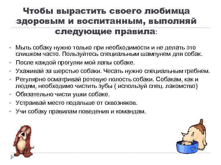 Чтобы вырастить своего любимца здоровым и воспитанным, выполняй следующие правила: • • Мыть собаку
