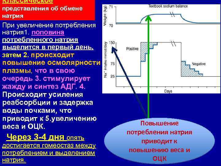 Классическое представления об обмене натрия При увеличение потребления натрия 1. половина потребленного натрия выделится