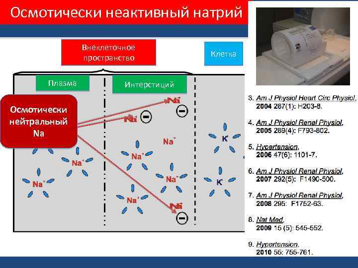 Осмотически неактивный натрий Внеклеточное пространство Плазма Осмотически нейтральный Na Интерстиций Клетка 