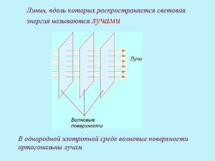 Линии, вдоль которых распространяется световая энергия называются лучами В однородной изотропной среде волновые поверхности