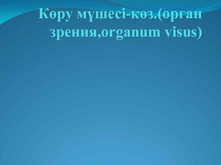 Көру мүшесі-көз. (орган зрения, organum visus) 