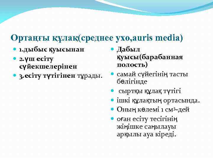 Ортаңғы құлақ(среднее ухо, auris media) 1. дыбыс қуысынан 2. үш есіту сүйекшелерінен 3. есіту