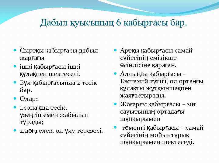  Дабыл қуысының 6 қабырғасы бар. Сыртқы қабырғасы дабыл жарғағы ішкі қабырғасы ішкі құлақпен