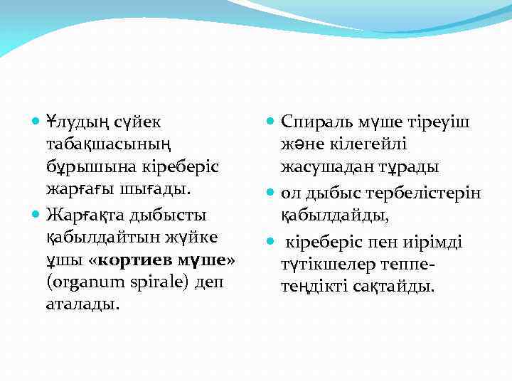  Ұлудың сүйек табақшасының бұрышына кіреберіс жарғағы шығады. Жарғақта дыбысты қабылдайтын жүйке ұшы «кортиев