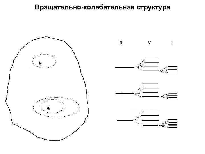 Вращательно-колебательная структура 