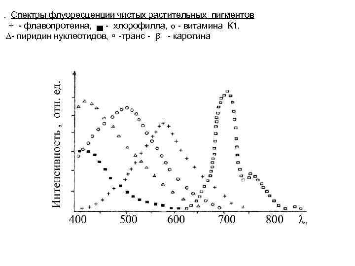 . Спектры флуоресценции чистых растительных пигментов + - флавопротеина, ▄ - хлорофилла, - витамина