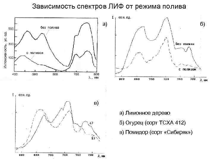 Зависимость спектров ЛИФ от режима полива а) б) в) а) Лимонное дерево б) Огурец