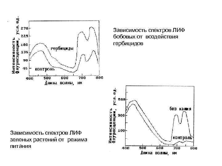 Зависимость спектров ЛИФ бобовых от воздействия гербицидов Зависимость спектров ЛИФ зеленых растений от режима