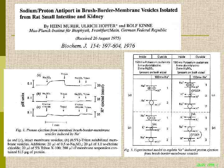 Biochem. J. 154: 597 -604, 1976 JASN, 1998, 1 