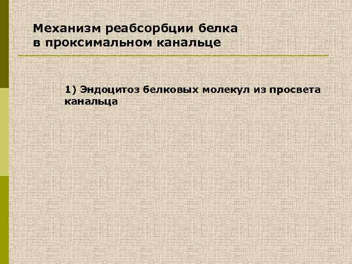 Механизм реабсорбции белка в проксимальном канальце 1) Эндоцитоз белковых молекул из просвета канальца 