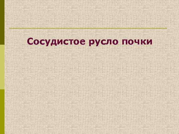 Сосудистое русло почки 