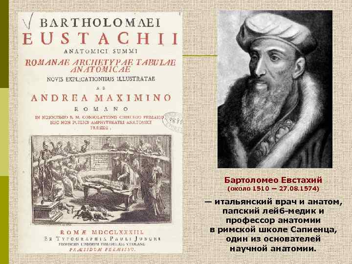 Бартоломео Евстахий (около 1510 — 27. 08. 1574) — итальянский врач и анатом, папский