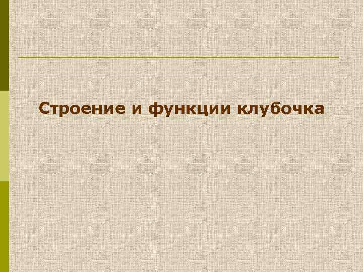 Строение и функции клубочка 