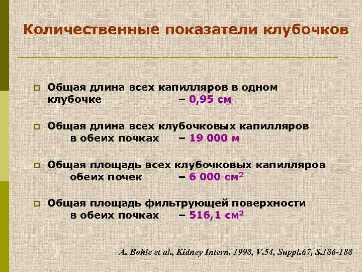 Количественные показатели клубочков p Общая длина всех капилляров в одном клубочке – 0, 95