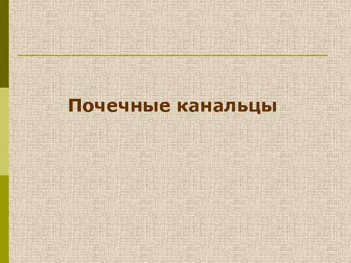 Почечные канальцы 