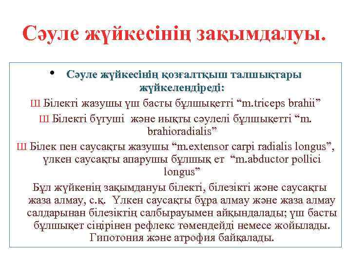 Сәуле жүйкесінің зақымдалуы. • Сәуле жүйкесінің қозғалтқыш талшықтары жүйкелендіреді: Ш Білекті жазушы үш басты