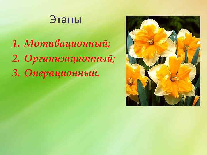 Этапы 1. Мотивационный; 2. Организационный; 3. Операционный. 