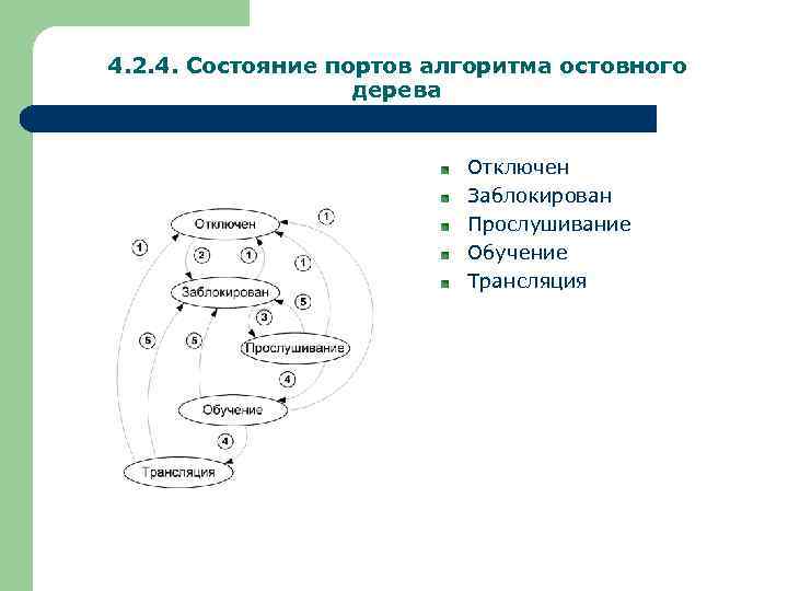 4. 2. 4. Состояние портов алгоритма остовного дерева Отключен Заблокирован Прослушивание Обучение Трансляция 