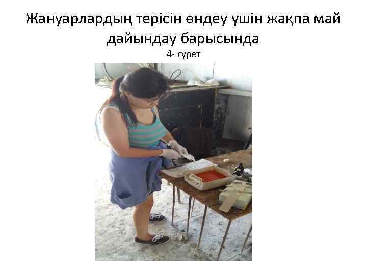 Жануарлардың терісін өндеу үшін жақпа май дайындау барысында 4 - сурет 