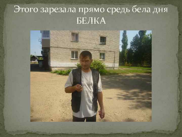 Этого зарезала прямо средь бела дня БЕЛКА 