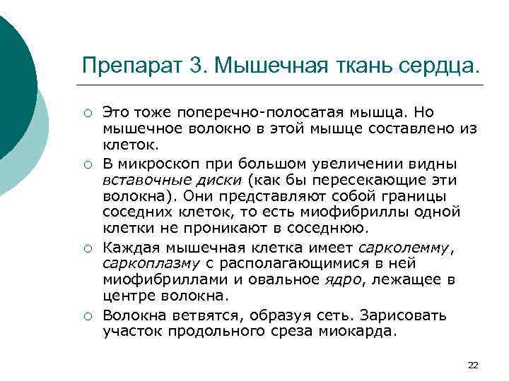 Препарат 3. Мышечная ткань сердца. ¡ ¡ Это тоже поперечно-полосатая мышца. Но мышечное волокно