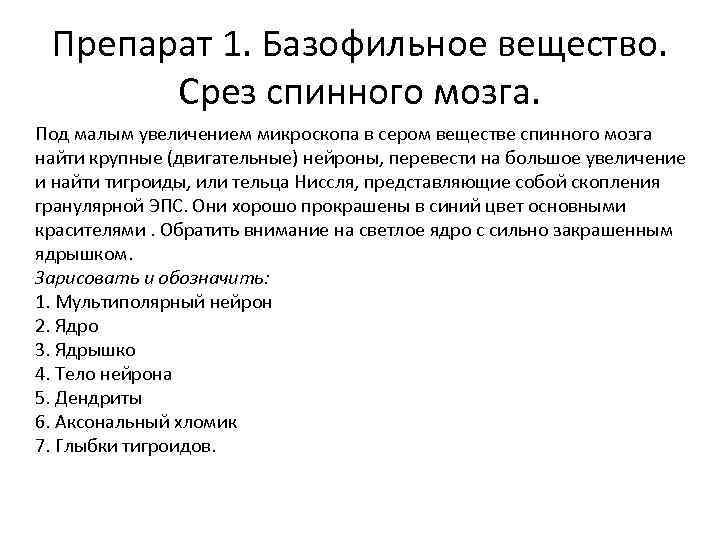 Препарат 1. Базофильное вещество. Срез спинного мозга. Под малым увеличением микроскопа в сером веществе