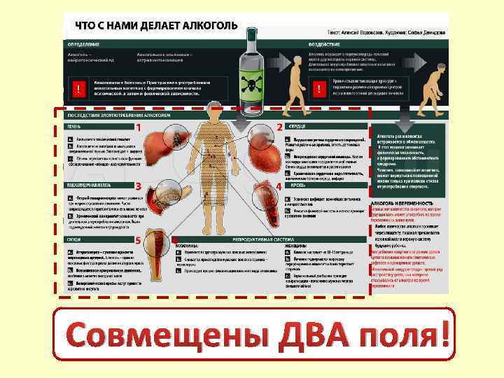 Совмещены ДВА поля! 