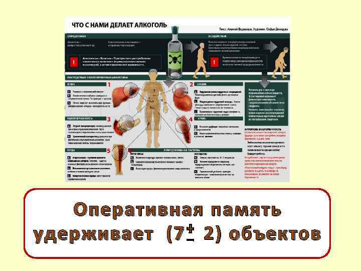 Оперативная память удерживает (7 2) объектов 