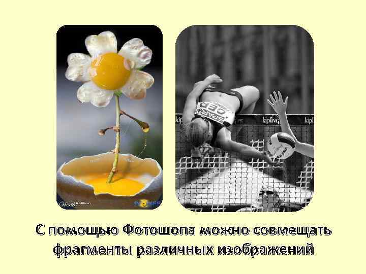 С помощью Фотошопа можно совмещать фрагменты различных изображений 