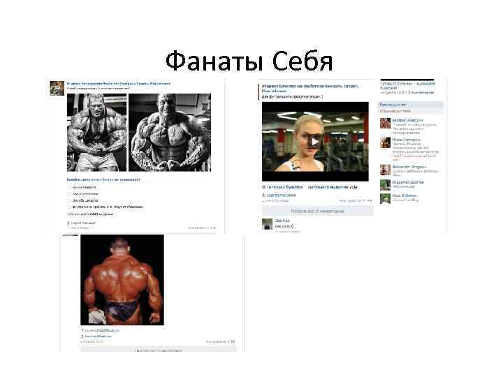 Фанаты Себя 