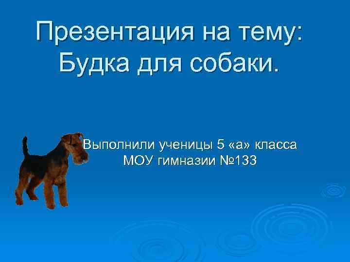 Презентация на тему: Будка для собаки. Выполнили ученицы 5 «а» класса МОУ гимназии №