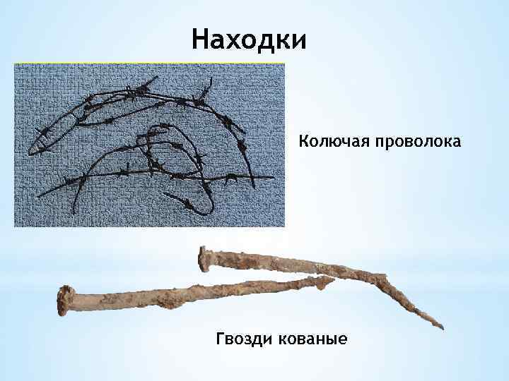 Находки Колючая проволока Гвозди кованые 