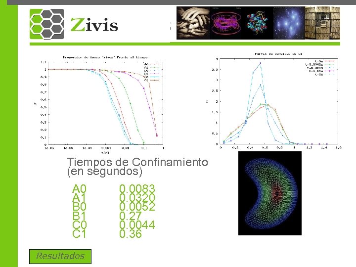 Tiempos de Confinamiento (en segundos) A 0 A 1 B 0 B 1 C