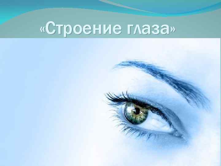  «Строение глаза» 